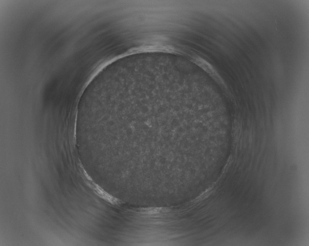 X0000080671228200701121624