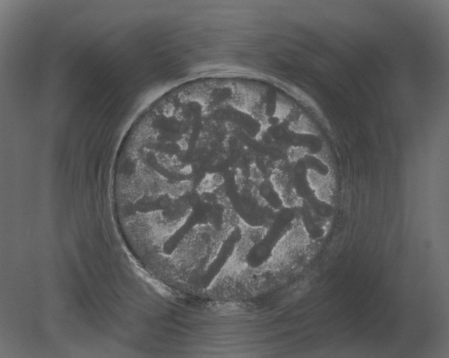 X0000080671231200701121624