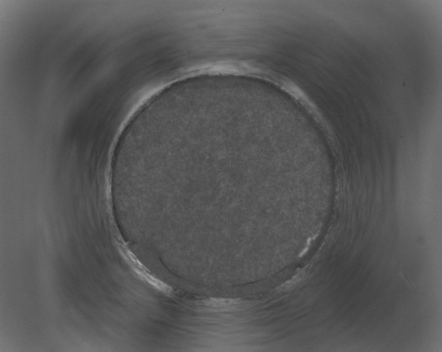 X0000080671232200701121624