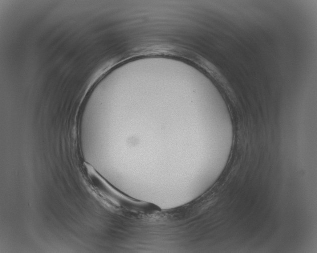 X0000080671234200701121624