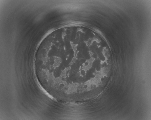 X0000080671235200701121624