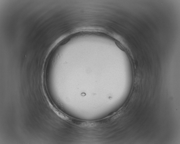 X0000080671237200701121624