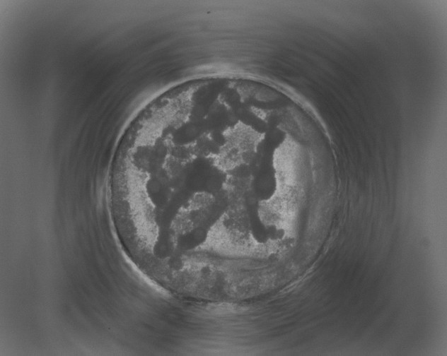 X0000080671239200701121624