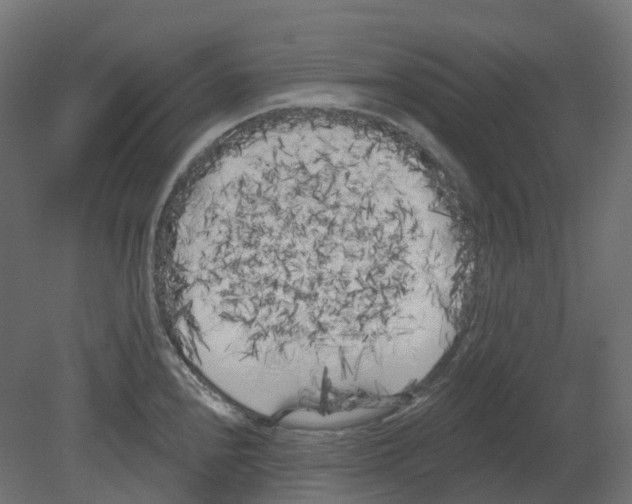 X0000080671240200701121624