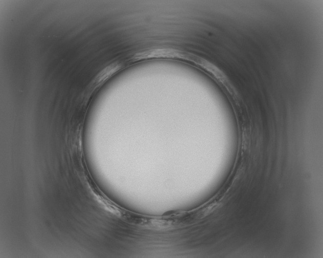 X0000080671241200701121624