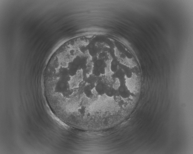 X0000080671243200701121624