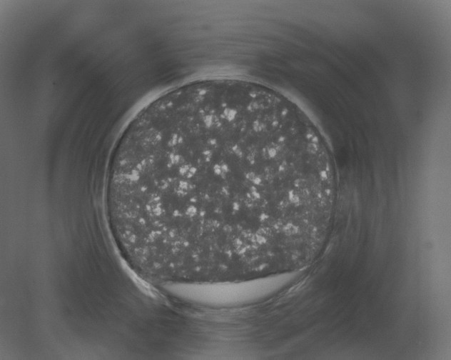 X0000080671245200701121624