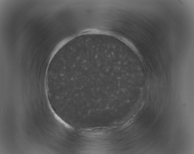 X0000080671247200701121624