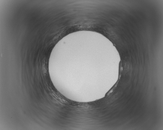 X0000080671250200701121623