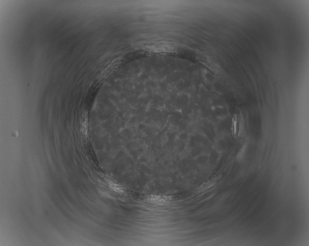 X0000080671251200701121623