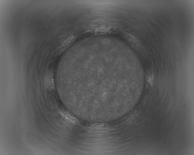 X0000080671252200701121623