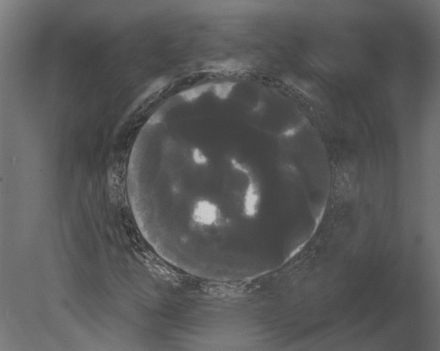 X0000080671254200701121623