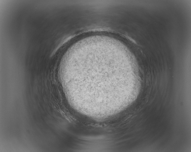 X0000080671255200701121623