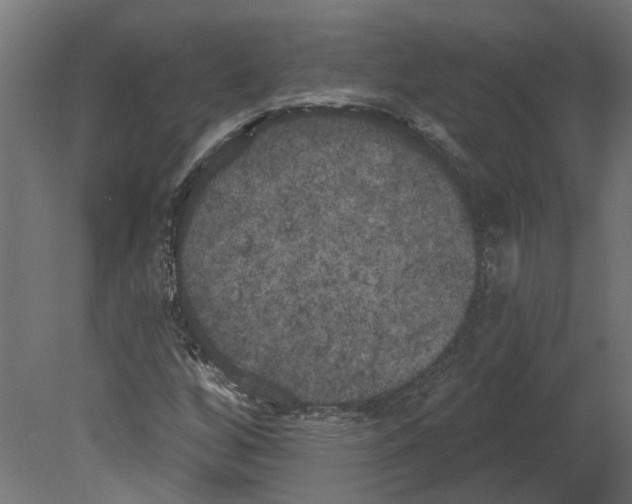 X0000080671256200701121623