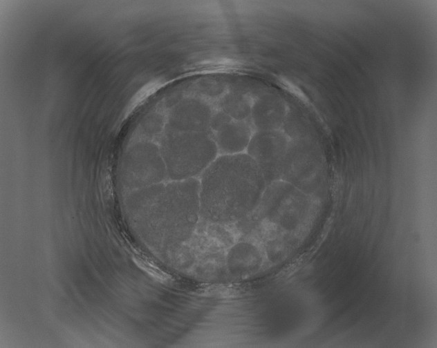 X0000080671259200701121623