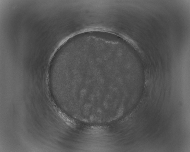 X0000080671264200701121623