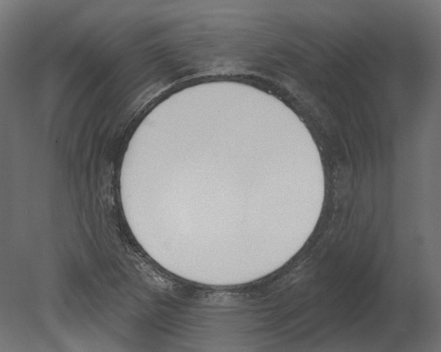 X0000080671265200701121623