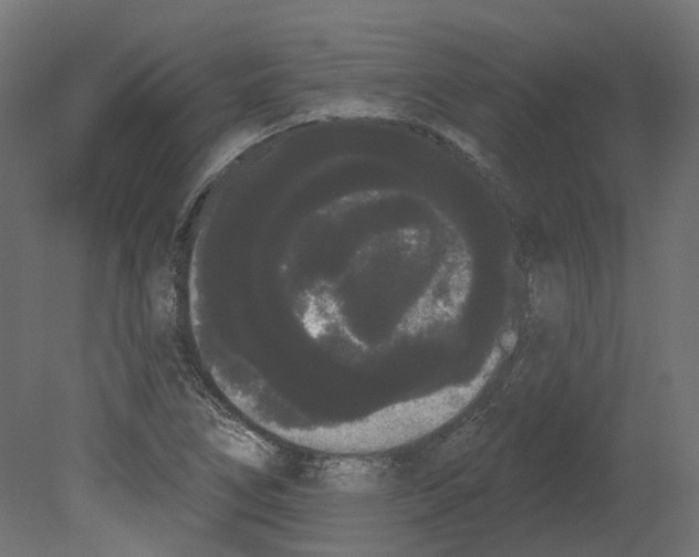 X0000080671266200701121623