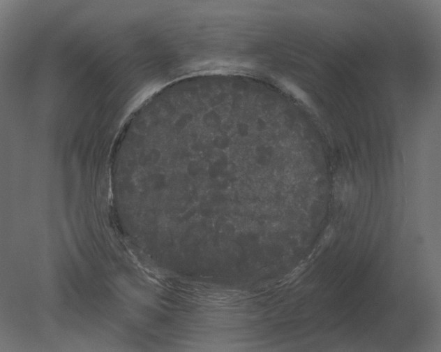 X0000080671267200701121623