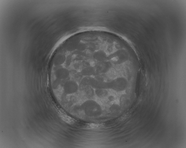 X0000080671271200701121623