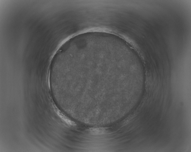 X0000080671272200701121623