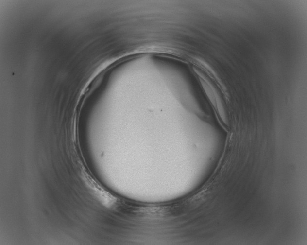 X0000080671276200701121623