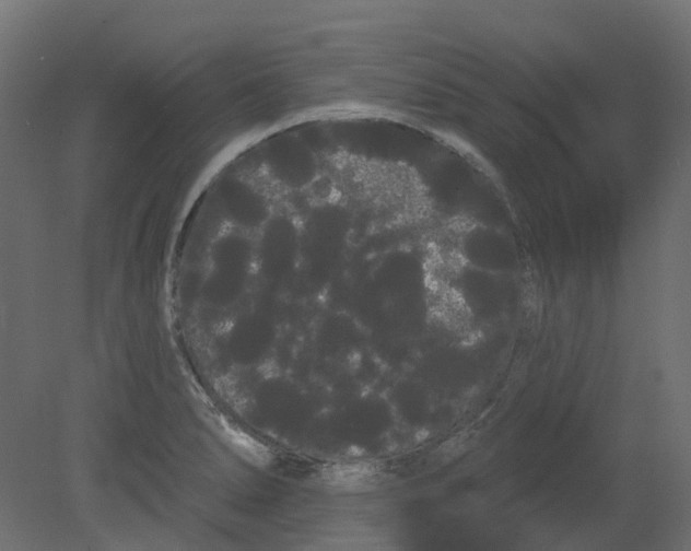 X0000080671278200701121623