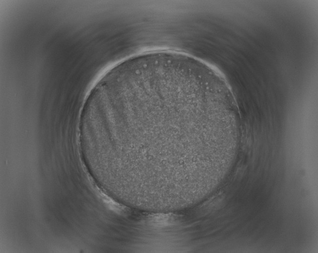 X0000080671279200701121623