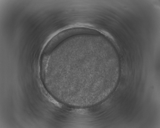 X0000080671280200701121623