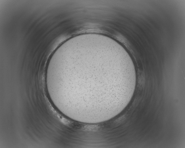 X0000080671282200701121623