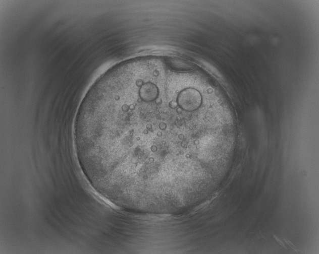 X0000080671283200701121623