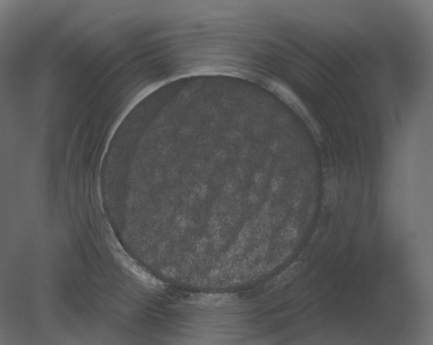 X0000080671284200701121623