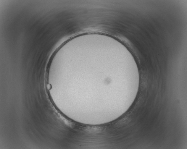 X0000080671286200701121623