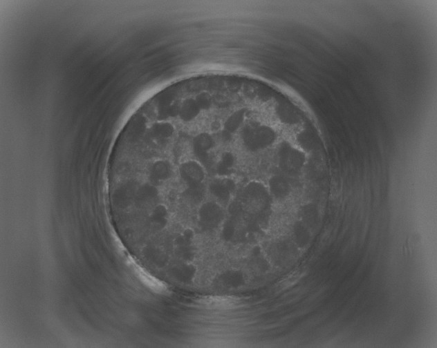 X0000080671287200701121623