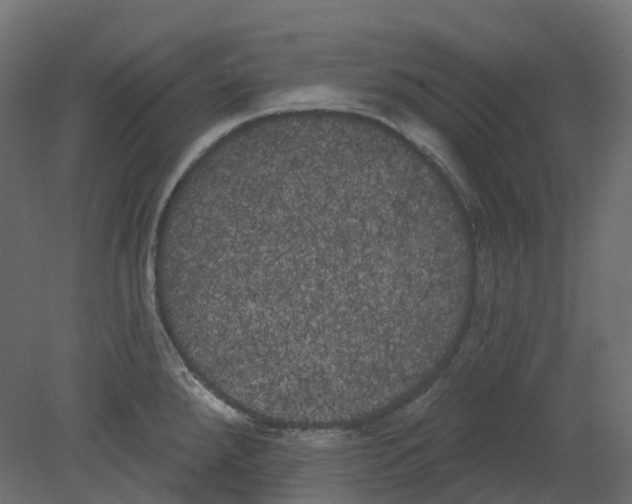 X0000080671288200701121623