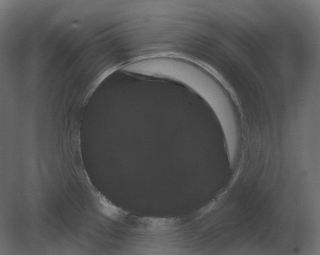 X0000080671289200701121623