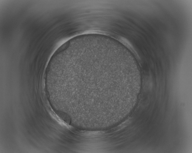 X0000080671292200701121623