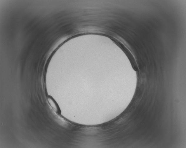 X0000080671293200701121623