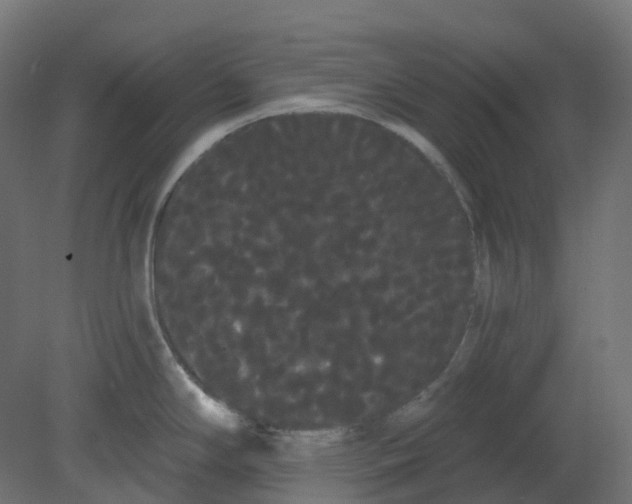 X0000080671294200701121623