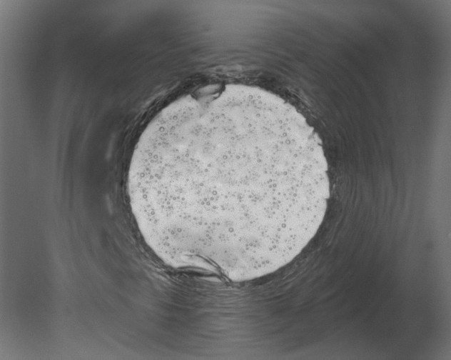 X0000080671297200701121622