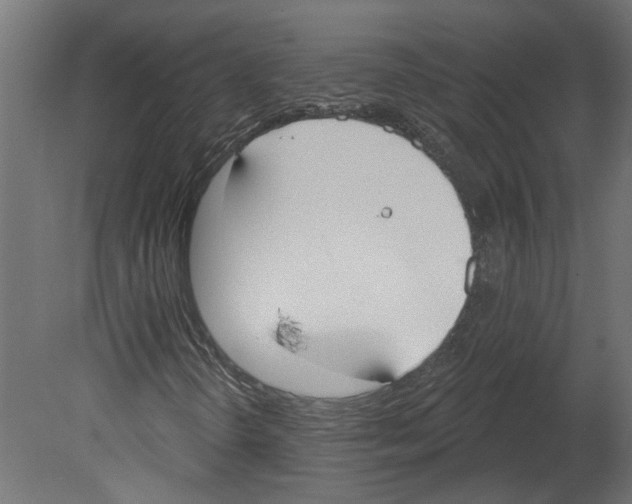 X0000080671298200701121622