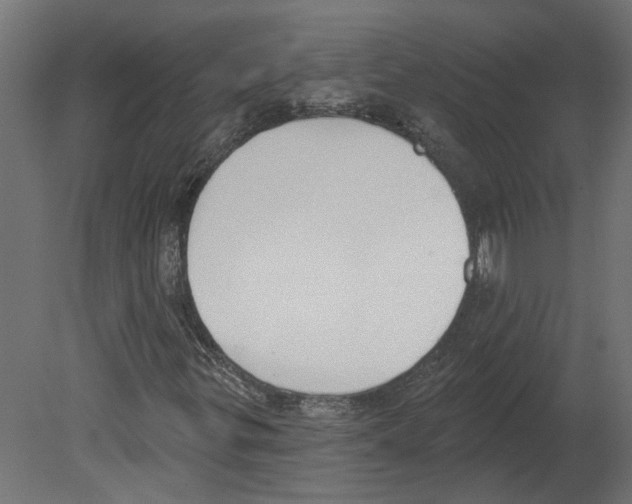 X0000080671299200701121622