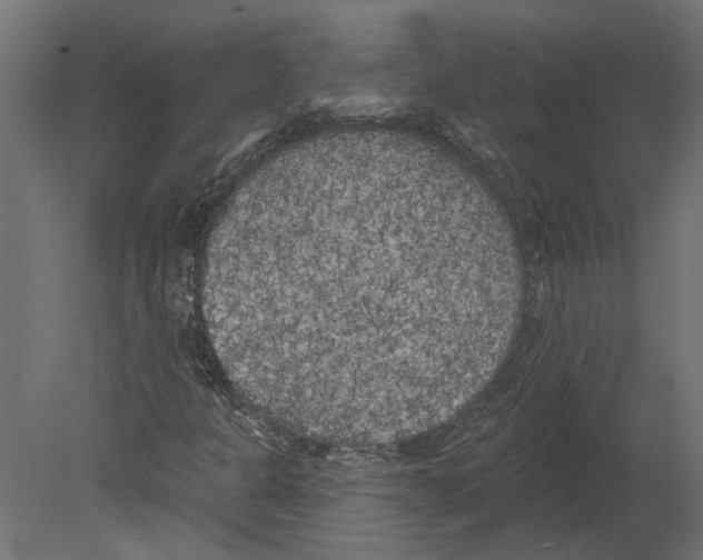 X0000080671301200701121622