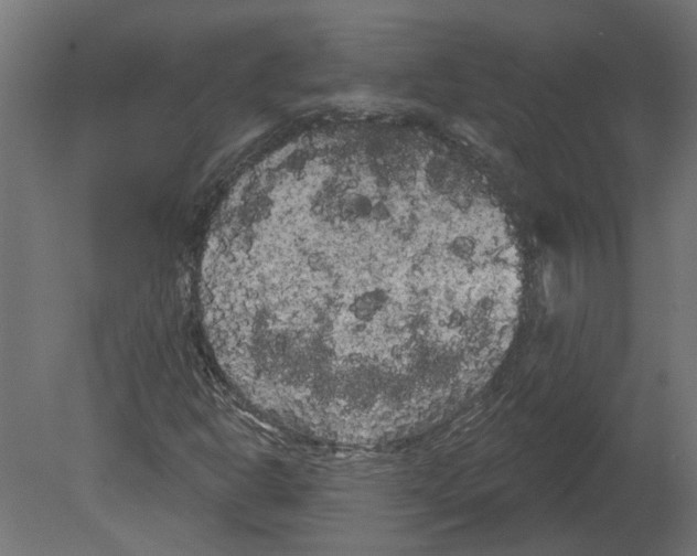 X0000080671302200701121622