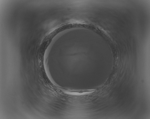 X0000080671303200701121622