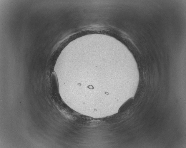 X0000080671304200701121622