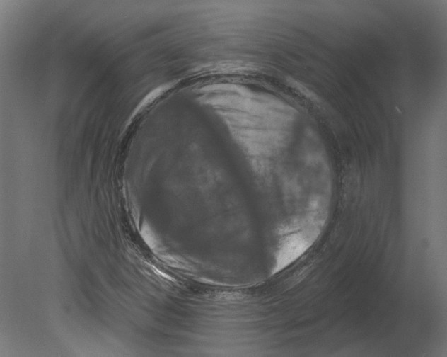 X0000080671306200701121622