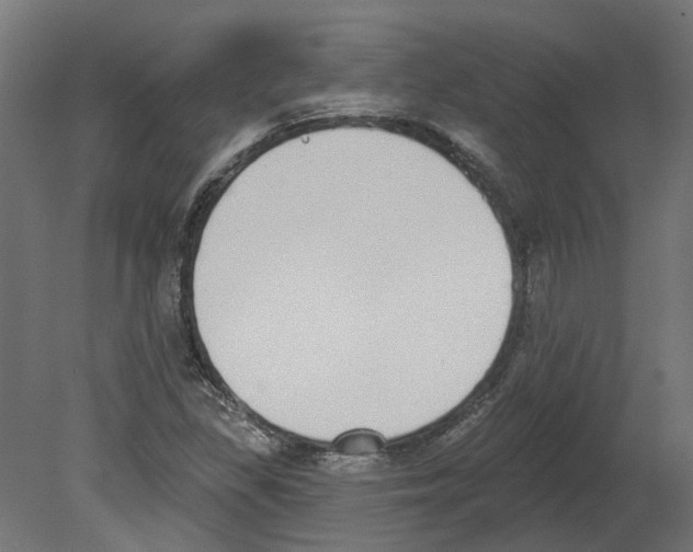 X0000080671309200701121622