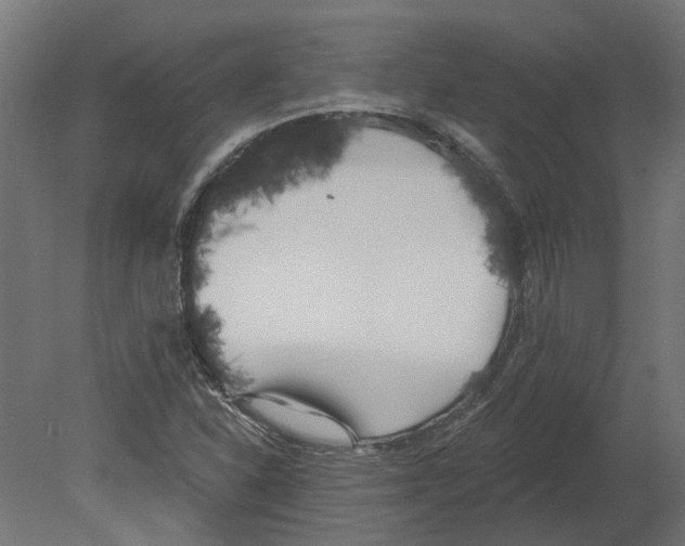 X0000080671310200701121622