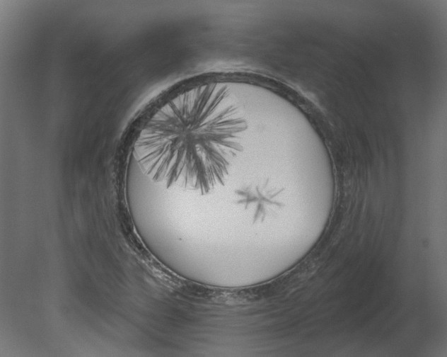 X0000080671311200701121622